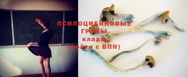 бошки Абаза