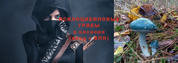 бошки Абаза